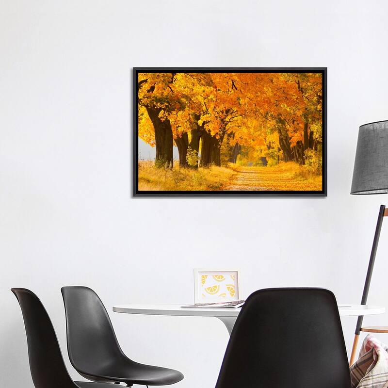 iCanvas "Poland, Jura, Maple Alley II" by Mikolaj Gospodarek Framed